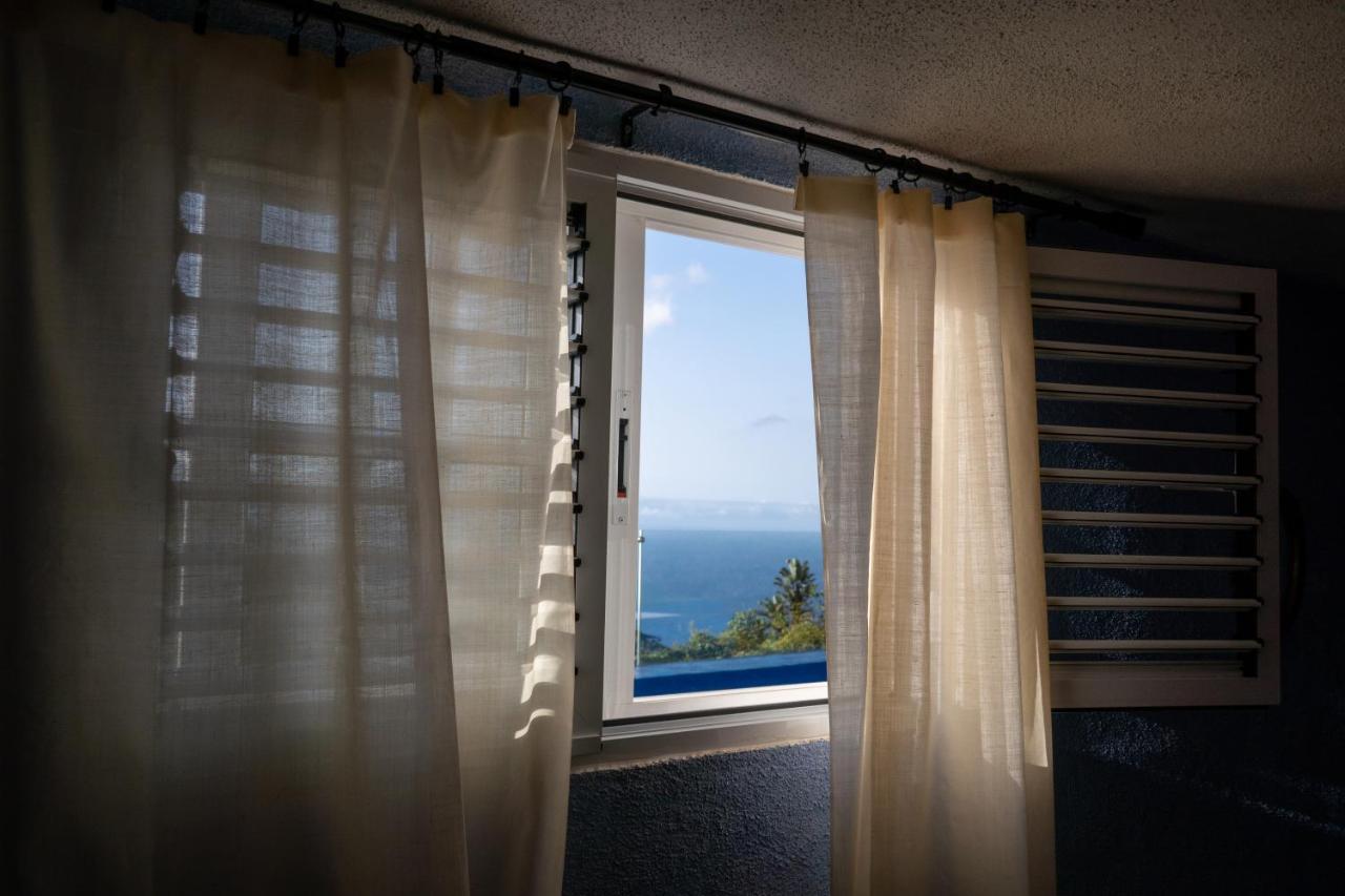 Casa Alba, Casa Rural Con Piscina-Spa Climatizada Hasta 34º Gratuito Y Vistas Al Mar Puntallana المظهر الخارجي الصورة